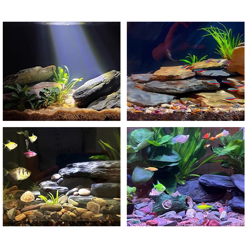 500/1000g Aquarium-Landschafts – Marine Fish Tank Bewertung und Preis