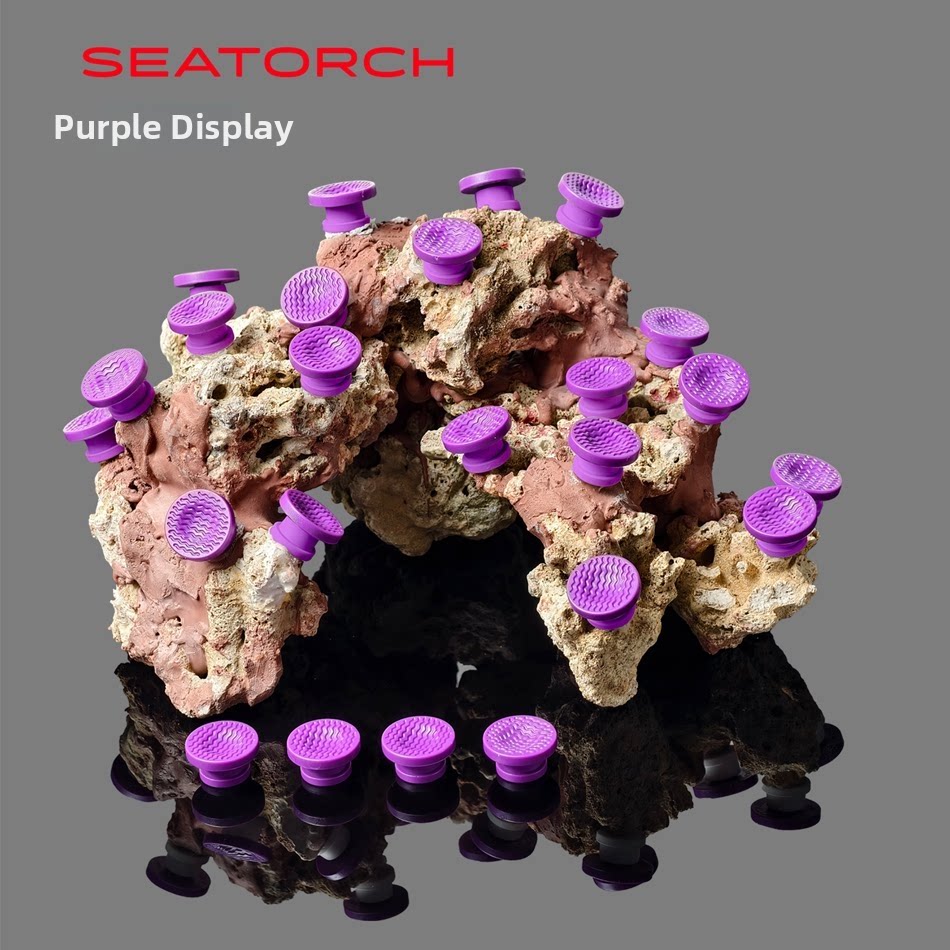 Seatorch Bewegliche Korallen-F – Saltwater Tank Bewertung und Preis