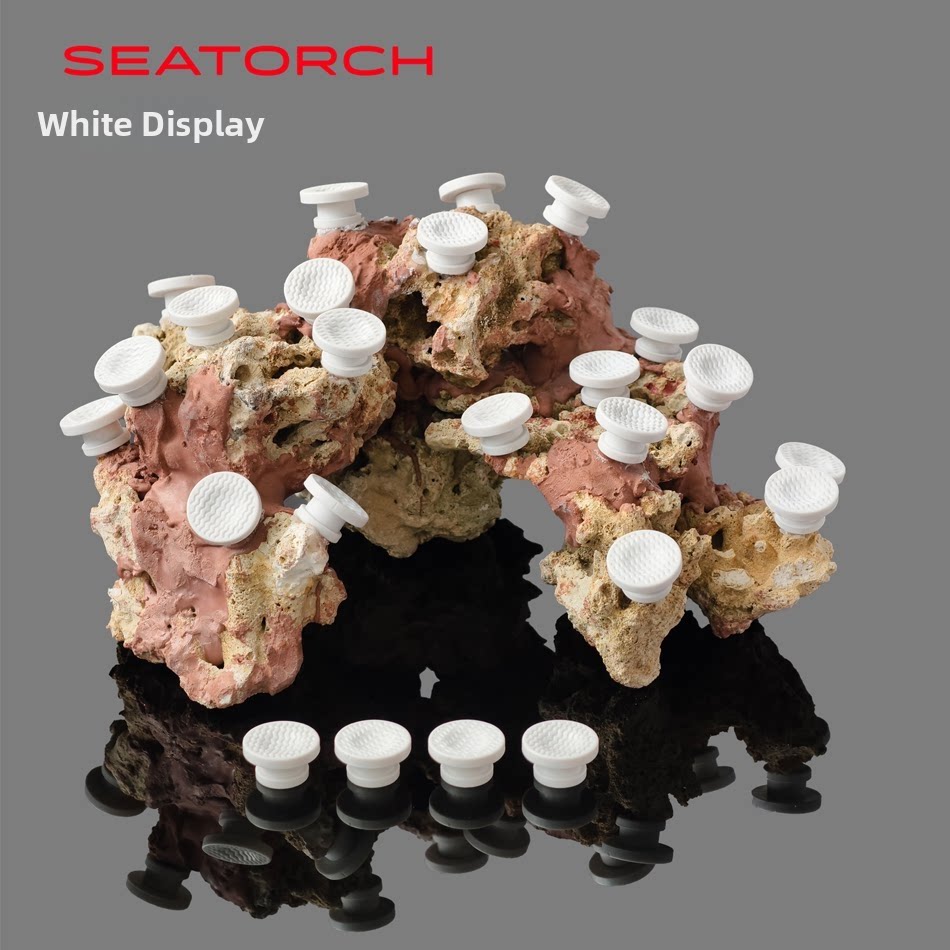 Seatorch Bewegliche Korallen-F – Saltwater Tank Bewertung und Preis