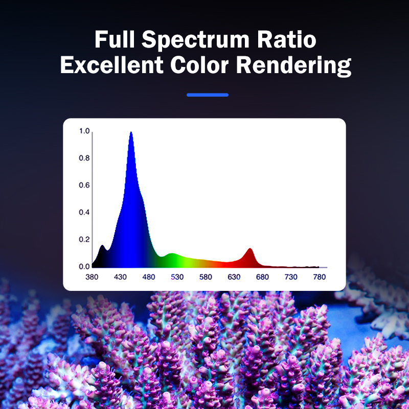 T169 Vollständige Abdeckung, 1 – Reef Lighting Bewertung und Preis