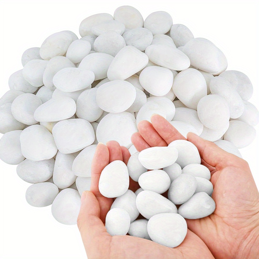 200/400g weiße hochglanzpolier – Marine Fish Tank Bewertung und Preis