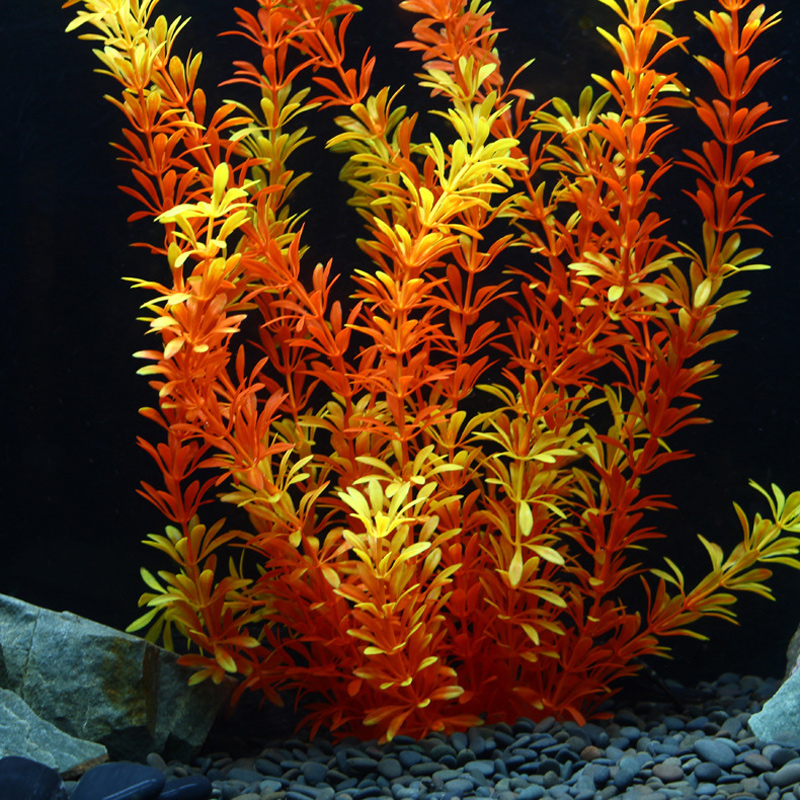 100cm Tropische Pflanzen, Groß – Marine Aquarium Bewertung und Preis