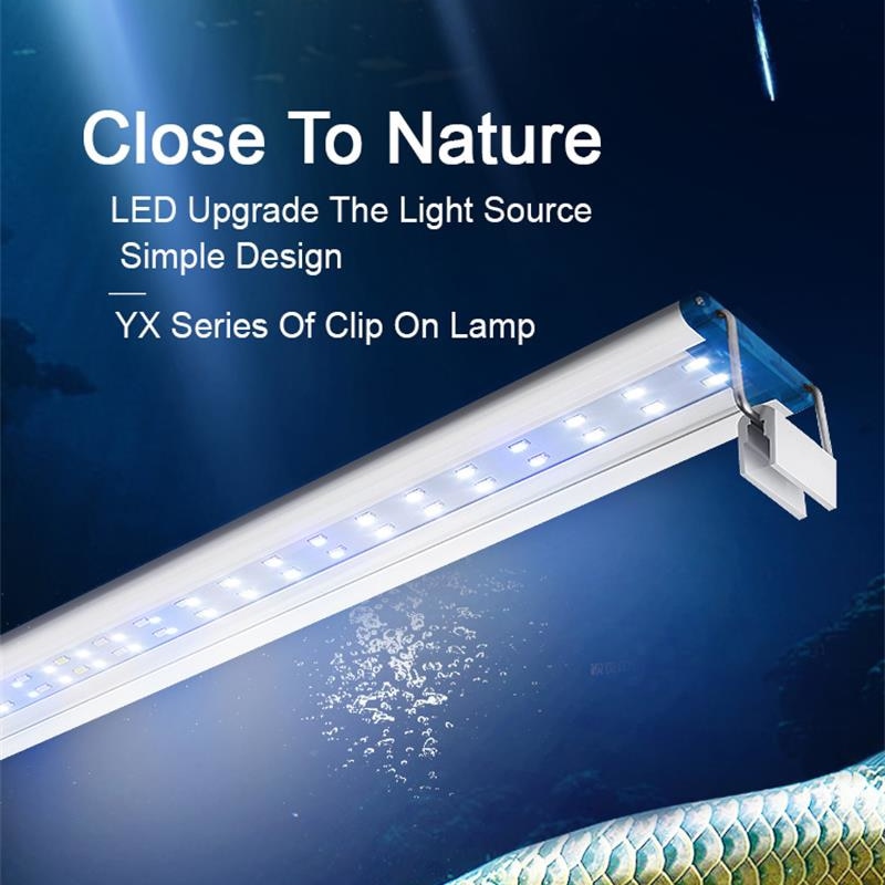 Ausziehbare wasserdichte Clip  – Aquarium Marine Lights Bewertung und Preis