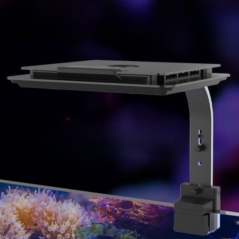 LED Meerwasser-Lampe Intellige – Reef Lighting Bewertung und Preis