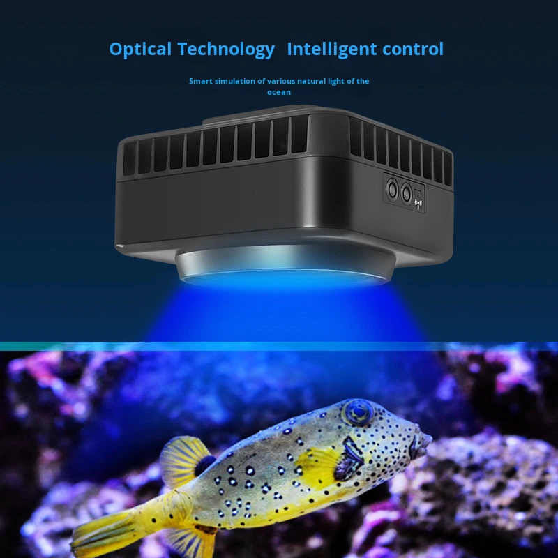 Jebao GSQ Smart Marine Koralle – Reef Lighting Bewertung und Preis