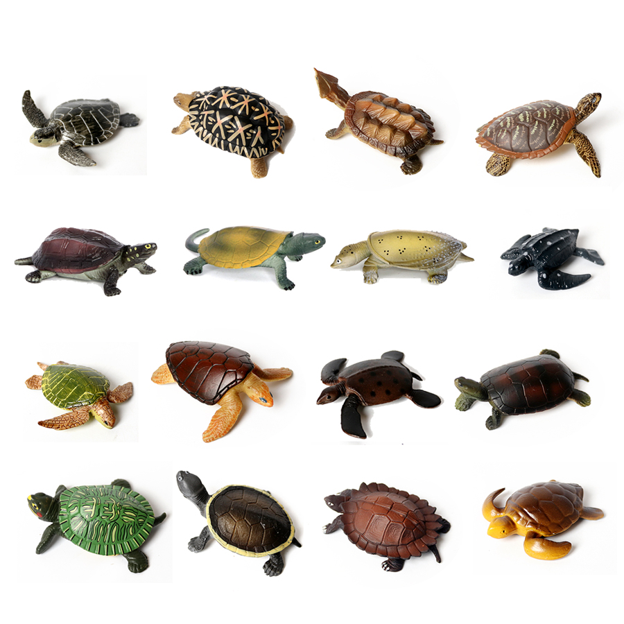 Realistische Miniaturen Meeres – Marine Aquarium Bewertung und Preis